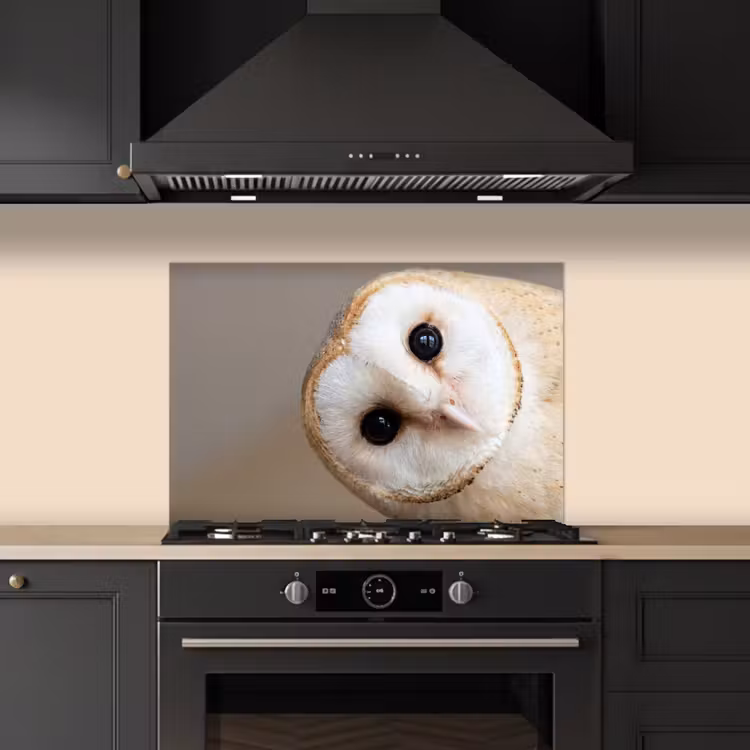 Spatscherm keuken - Uil - Bruin - Wit — 5