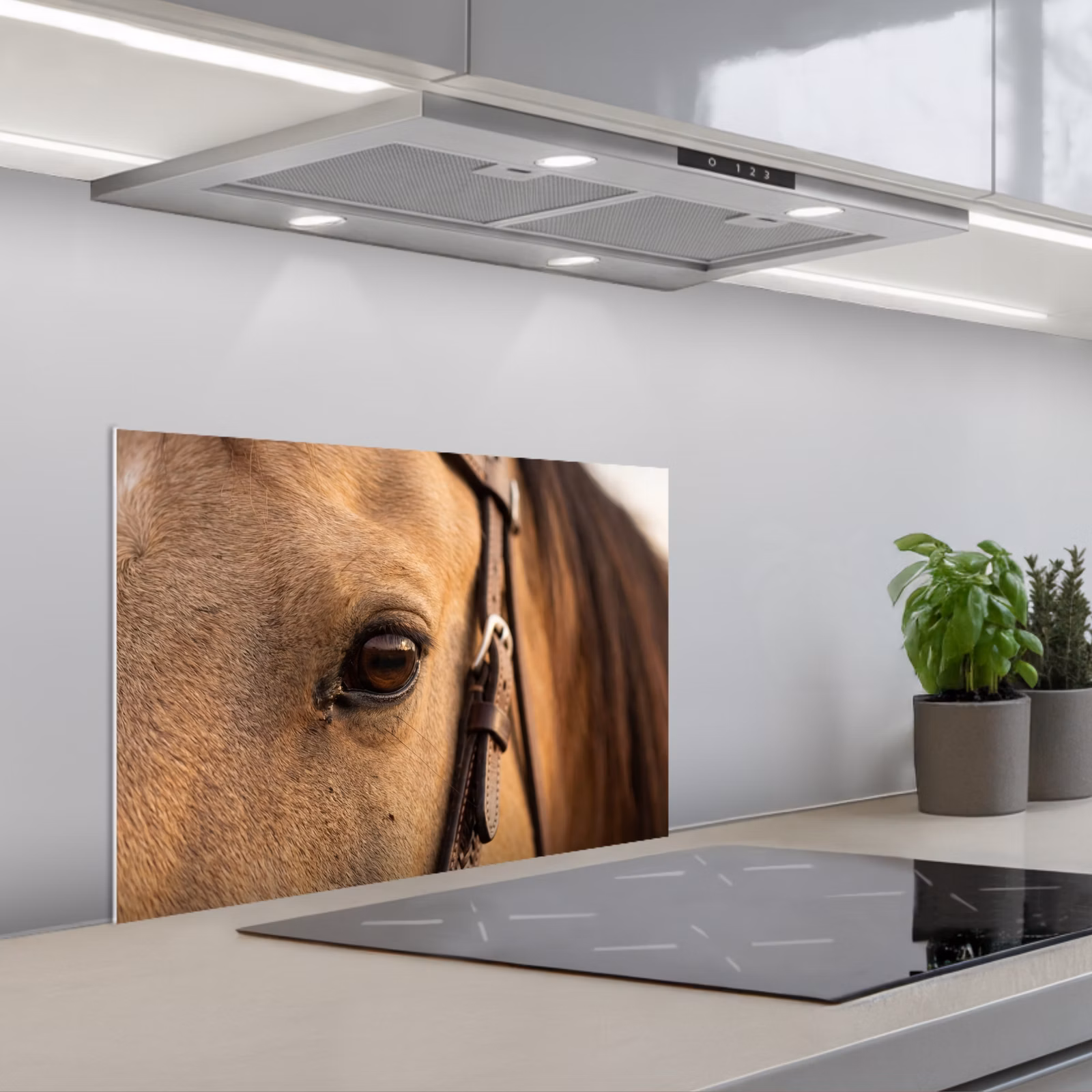 Spatscherm keuken - Paard - Oog - Bruin — 1