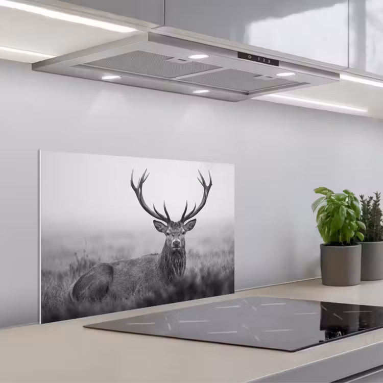 Spatscherm keuken - Hert - Mistig - Zwart - Wit — 1