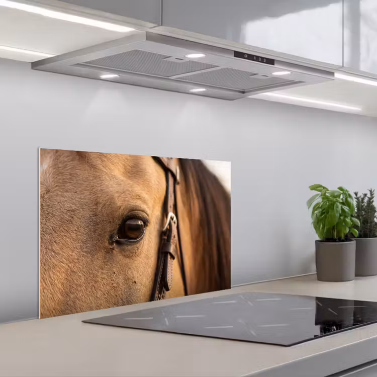 Spatscherm keuken - Paard - Oog - Bruin — 1
