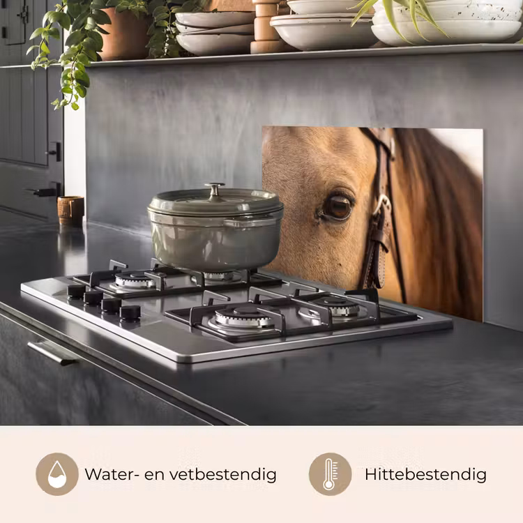 Spatscherm keuken - Paard - Oog - Bruin — 2