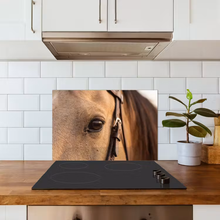 Spatscherm keuken - Paard - Oog - Bruin — 3