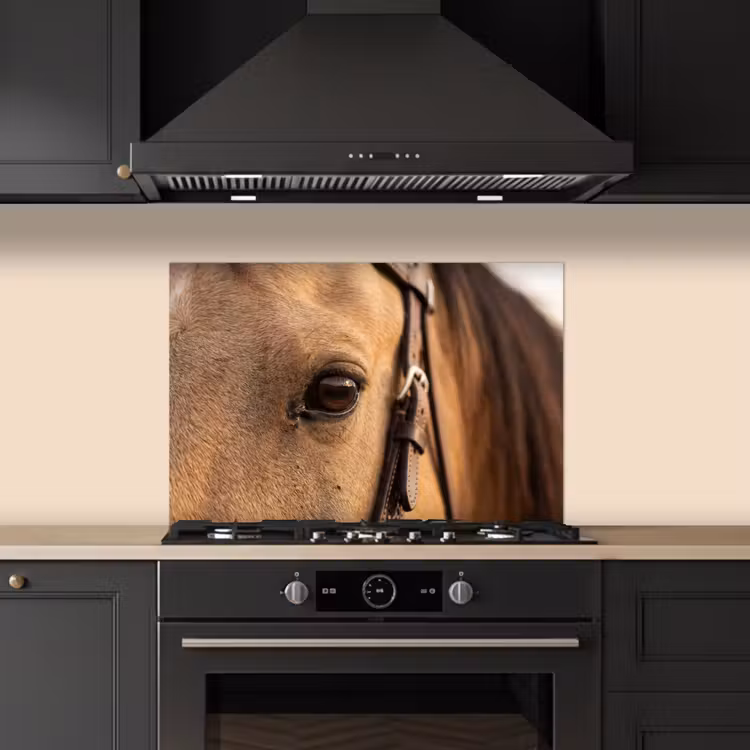 Spatscherm keuken - Paard - Oog - Bruin — 5