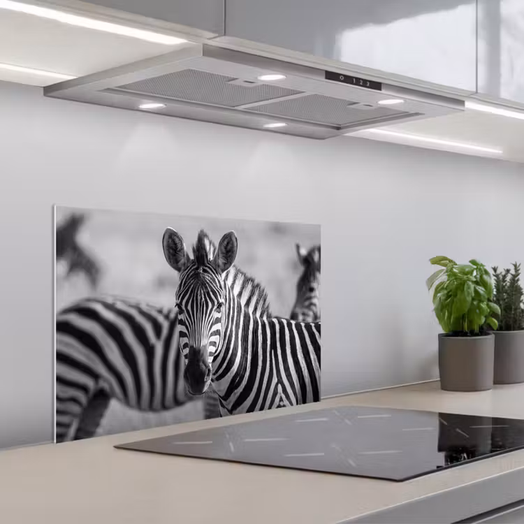 Spatscherm keuken - Zebra's - Zwart - Wit — 1
