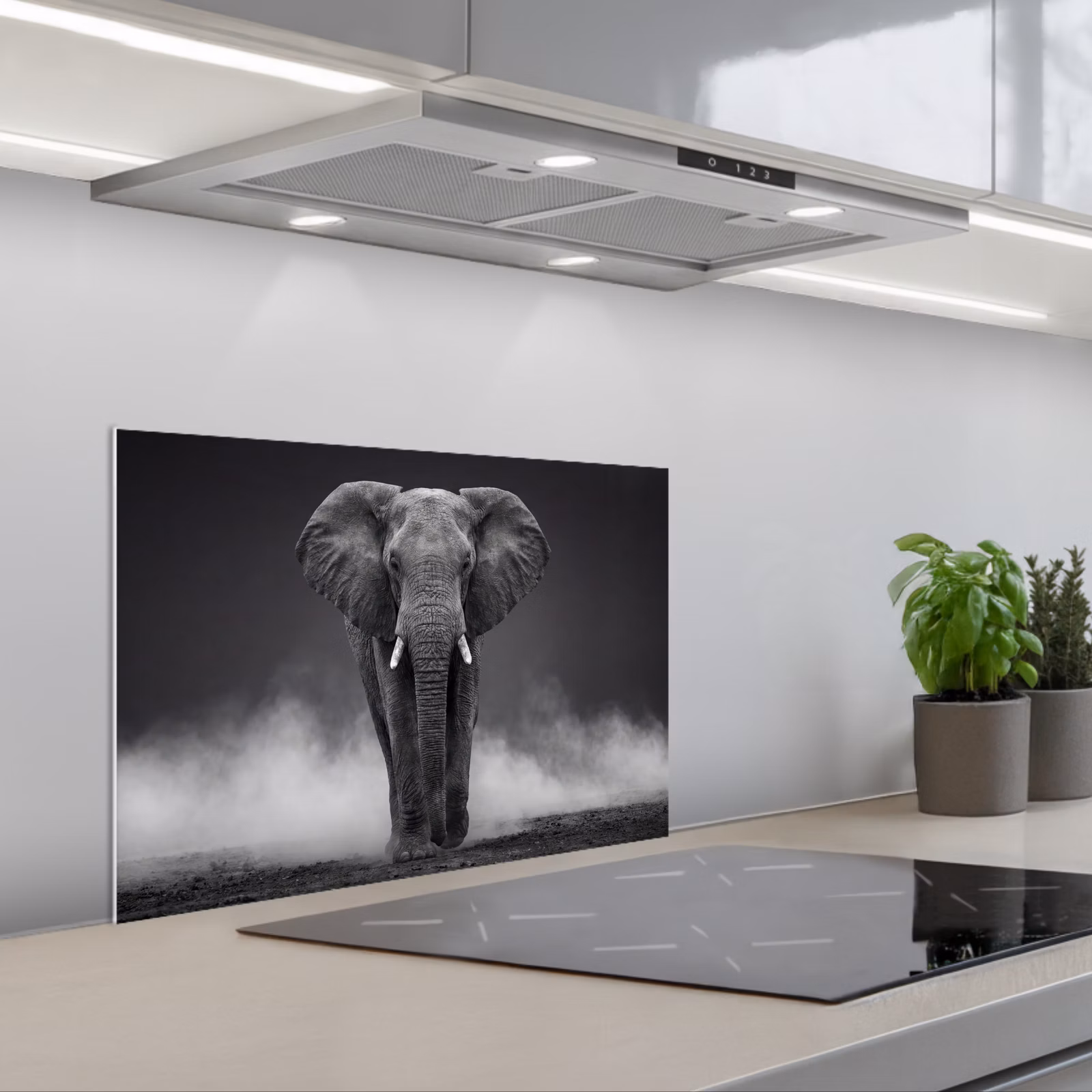 Spatscherm keuken - Olifant - Zwart - Wit - Rook — 1