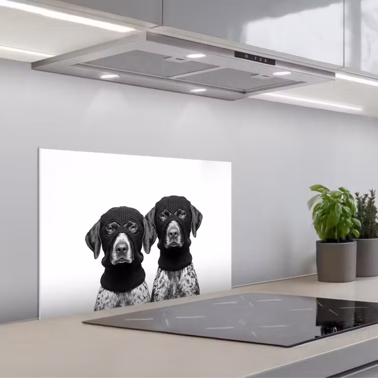 Spatscherm keuken - Honden - Bivakmuts - Zwart - wit — 1