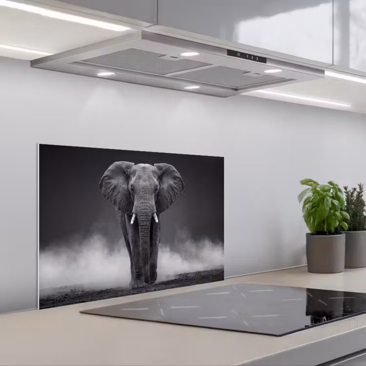 Spatscherm keuken - Olifant - Zwart - Wit - Rook — 1