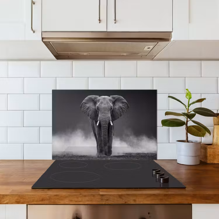Spatscherm keuken - Olifant - Zwart - Wit - Rook — 3