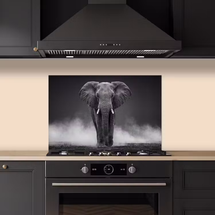 Spatscherm keuken - Olifant - Zwart - Wit - Rook — 5