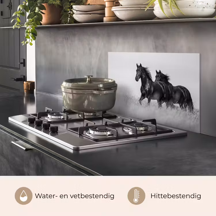 Spatscherm keuken - Paarden - Gras - Zwart - Wit — 2
