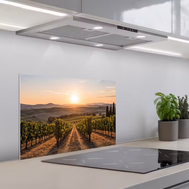 Spatscherm keuken - Wijngaard - Zonsondergang - Landschap — 1