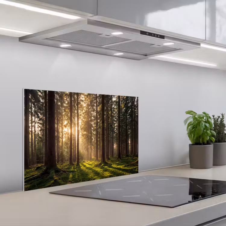 Spatscherm keuken - Bos - Gras - Zonlicht — 1