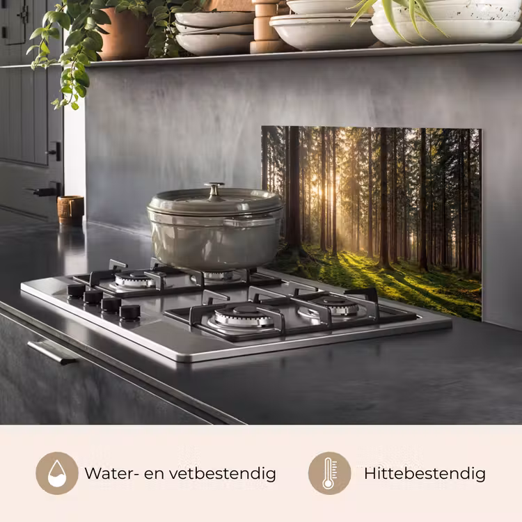 Spatscherm keuken - Bos - Gras - Zonlicht — 2