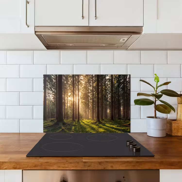 Spatscherm keuken - Bos - Gras - Zonlicht — 3