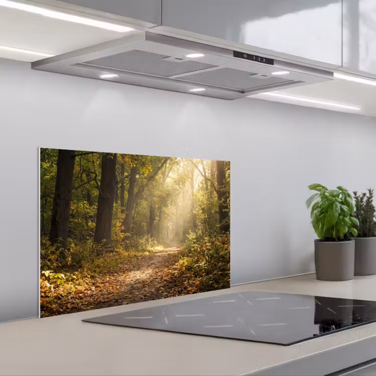 Spatscherm keuken - Zonlicht - Bospad - Bomen — 1