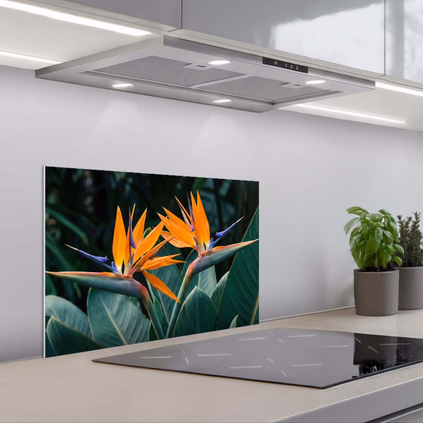 Spatscherm keuken - Paradijsvogel - Bloem - Exotisch — 1