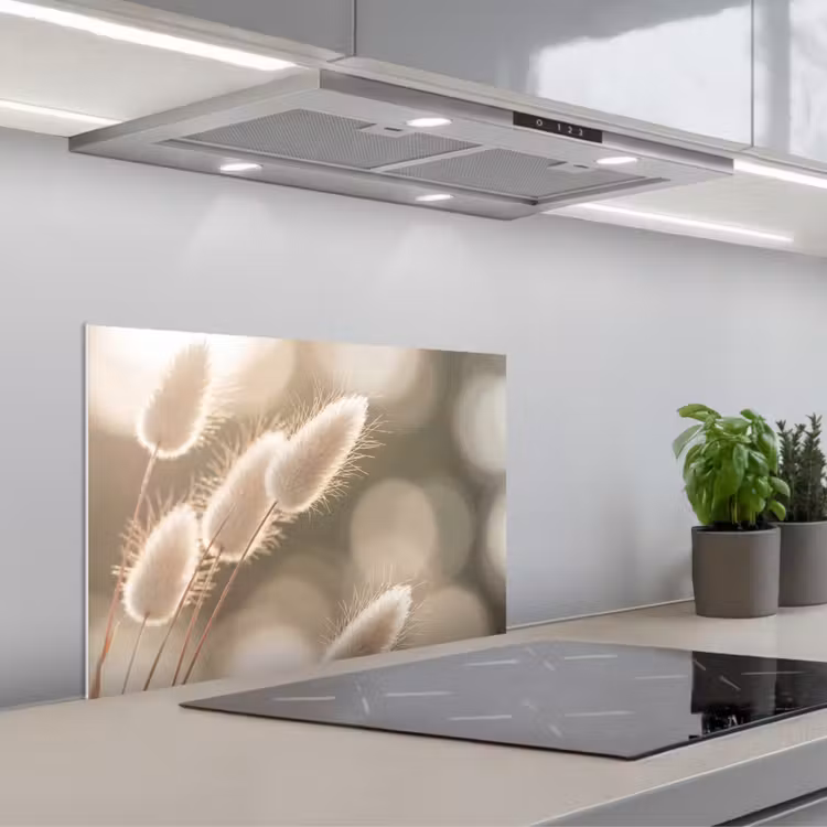 Spatscherm keuken - Hazestaartgras - Wit - Zonlicht — 1
