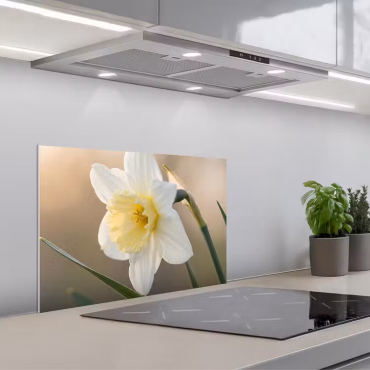 Spatscherm keuken - Narcis - Bloem - Minimalistisch — 1