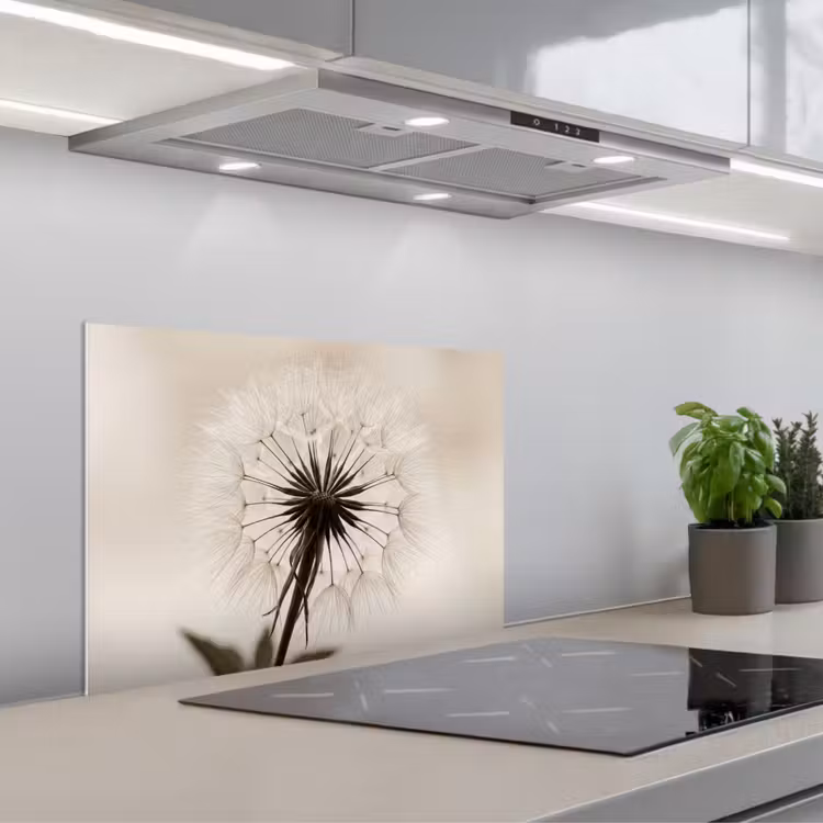 Spatscherm keuken - Paardenbloem - Minimalistisch - Wit — 1