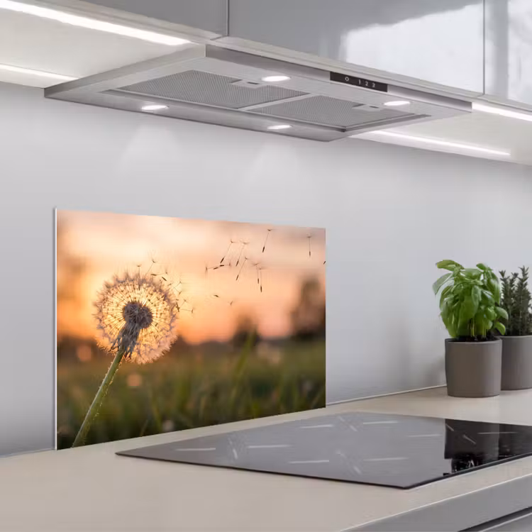 Spatscherm keuken - Paardenbloem - Zonsondergang - Veld — 1