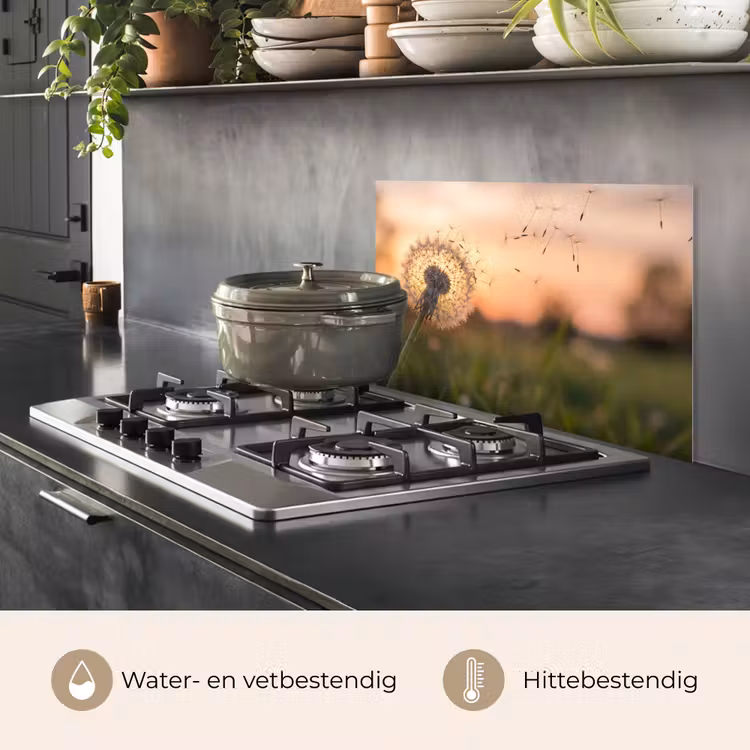 Spatscherm keuken - Paardenbloem - Zonsondergang - Veld — 2