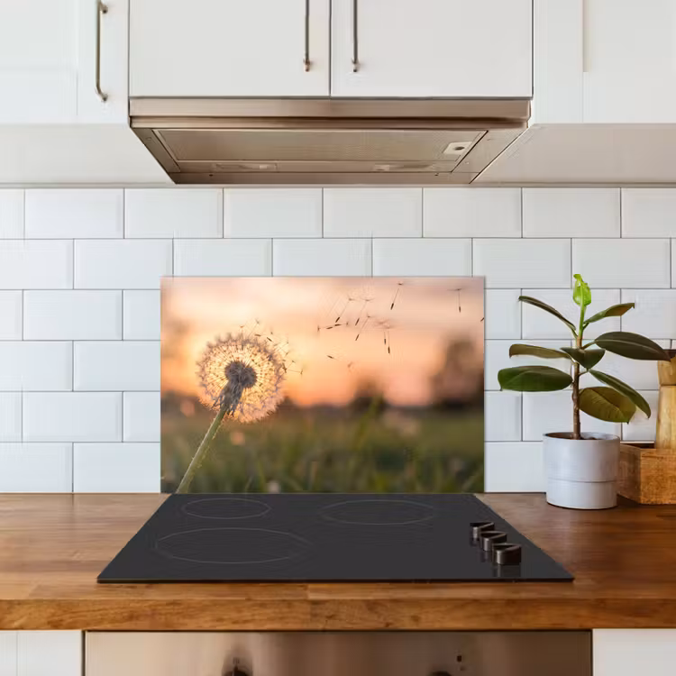Spatscherm keuken - Paardenbloem - Zonsondergang - Veld — 3