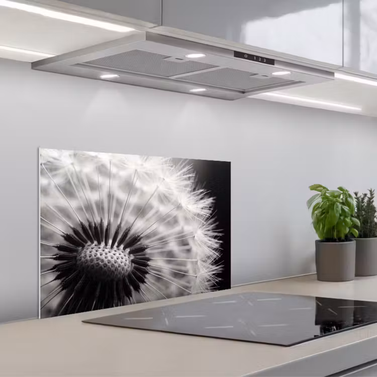 Spatscherm keuken - Paardenbloem - Zwart - Wit — 1
