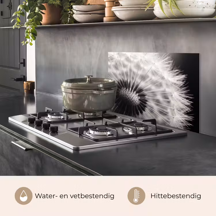 Spatscherm keuken - Paardenbloem - Zwart - Wit — 2