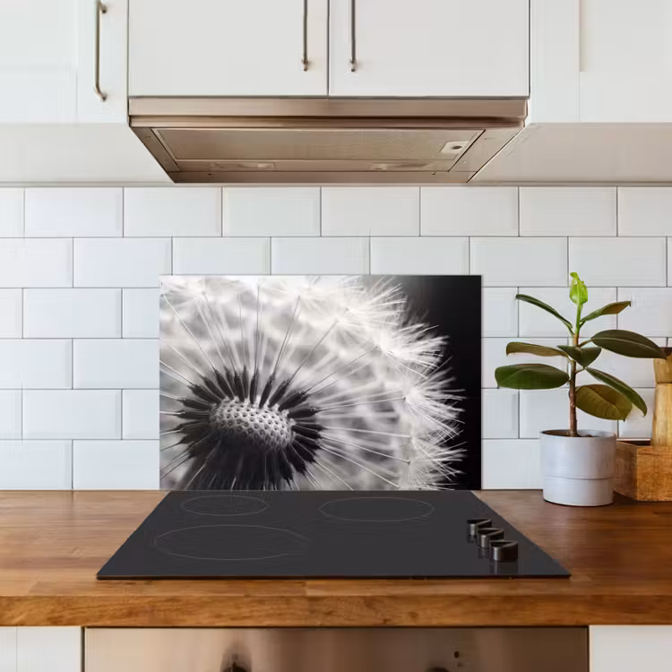 Spatscherm keuken - Paardenbloem - Zwart - Wit — 3