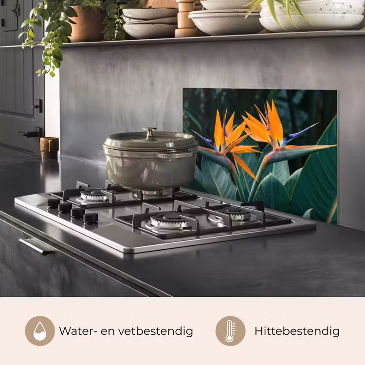 Spatscherm keuken - Paradijsvogel - Bloem - Exotisch — 2