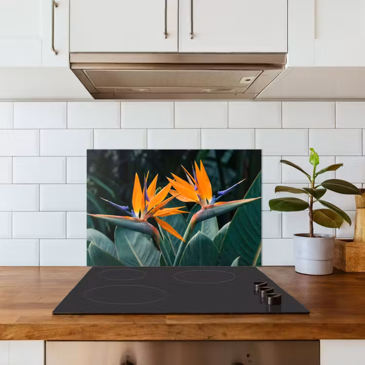 Spatscherm keuken - Paradijsvogel - Bloem - Exotisch — 3