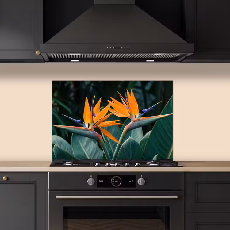 Spatscherm keuken - Paradijsvogel - Bloem - Exotisch — 5