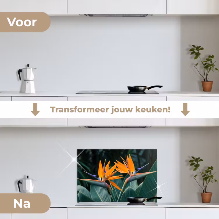 Spatscherm keuken - Paradijsvogel - Bloem - Exotisch — 7