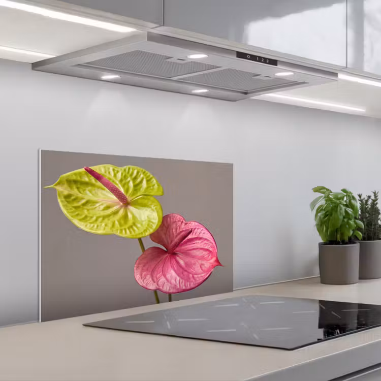Spatscherm keuken - Planten - Anthurium - Groen - Roze — 1