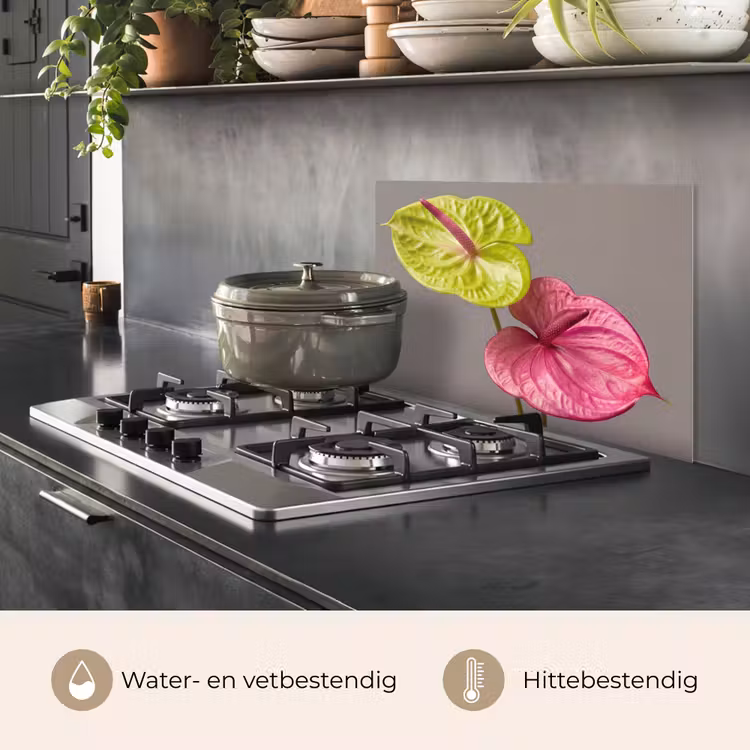 Spatscherm keuken - Planten - Anthurium - Groen - Roze — 2