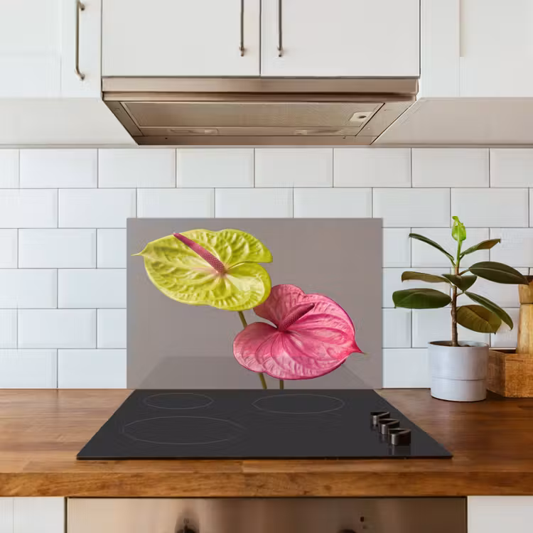 Spatscherm keuken - Planten - Anthurium - Groen - Roze — 3