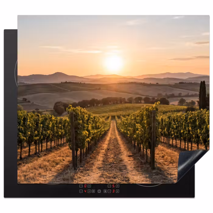 Inductie beschermer - Wijngaard - Zonsondergang - Landschap