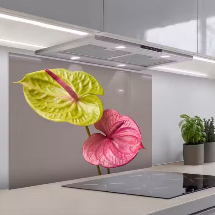Spatscherm keuken - Planten - Anthurium - Groen - Roze