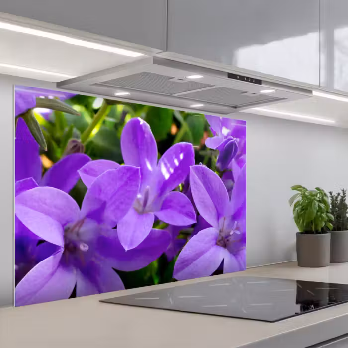 Spatscherm keuken - Bloemen - Paars - Natuur