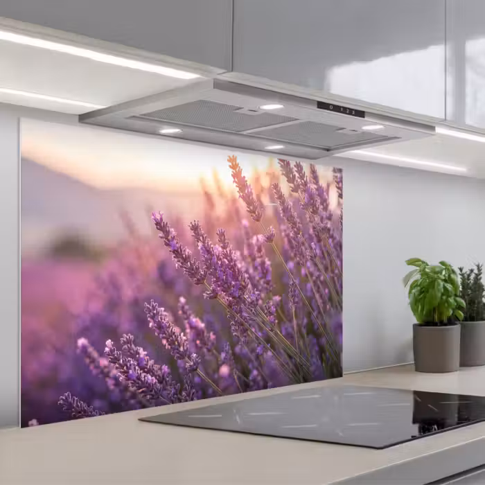 Spatscherm keuken - Lavendel - Paars - Zonlicht