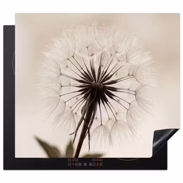 Inductie beschermer - Paardenbloem - Minimalistisch - Wit