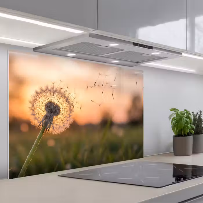 Spatscherm keuken - Paardenbloem - Zonsondergang - Veld
