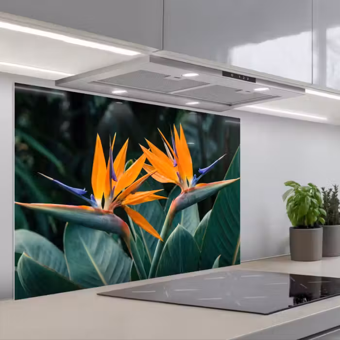 Spatscherm keuken - Paradijsvogel - Bloem - Exotisch