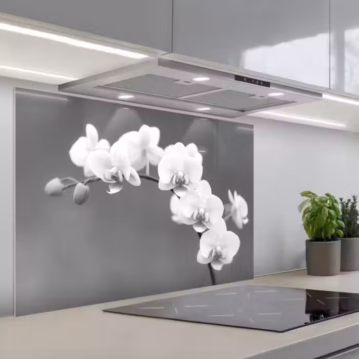 Spatscherm keuken - Monochrome Orchideeënpracht
